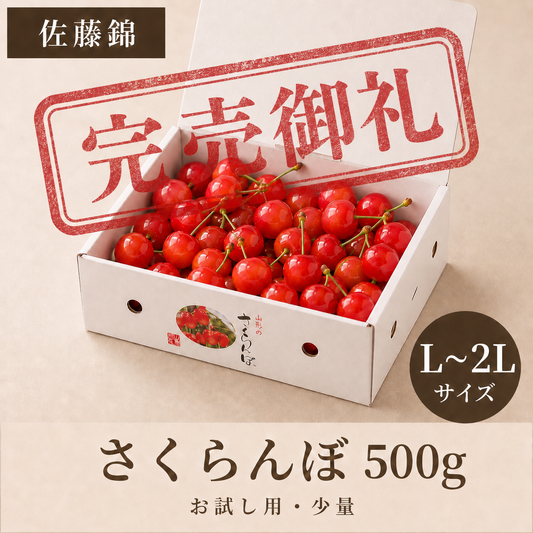 【予約】佐藤錦 500g | お試し用