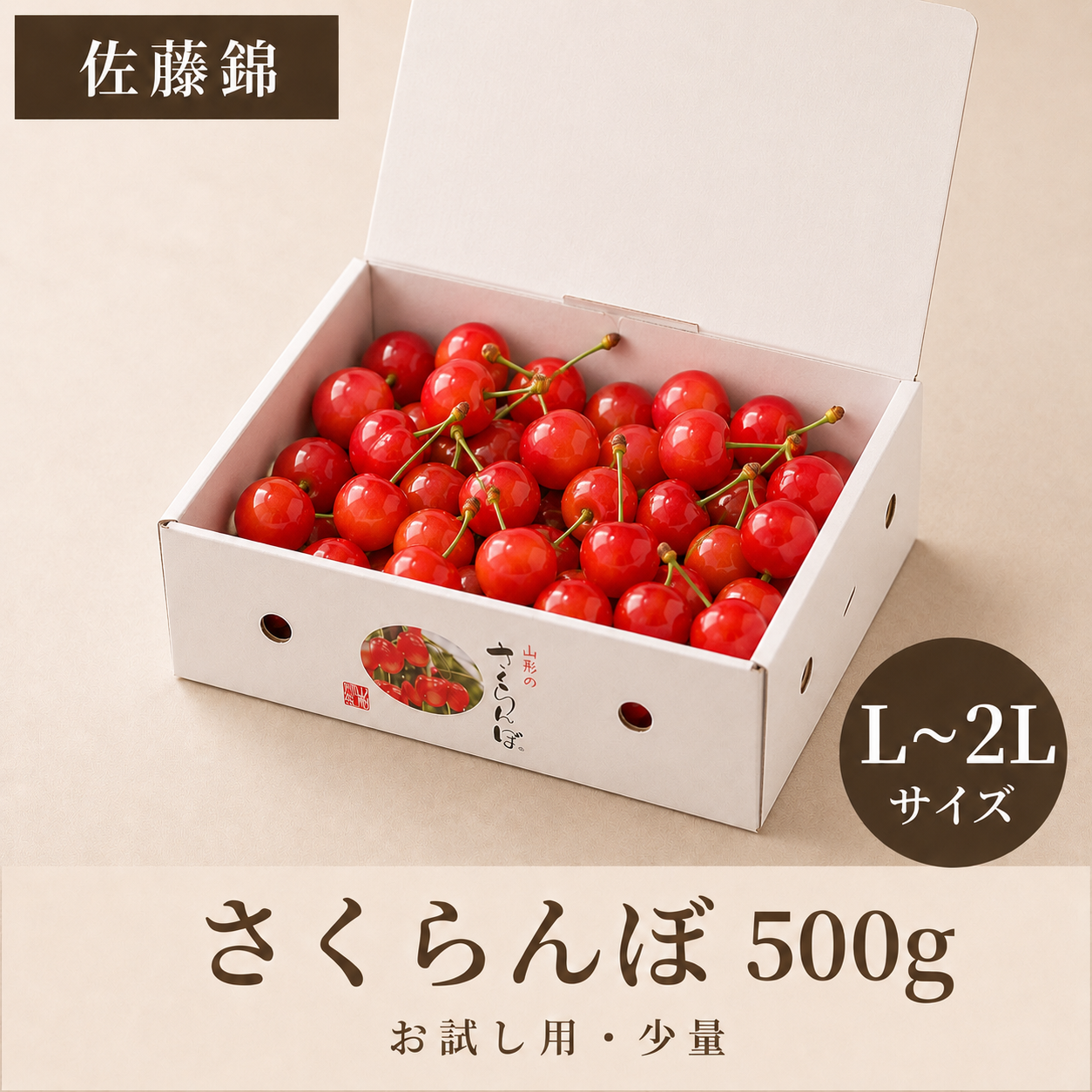 【予約】佐藤錦 500g | お試し用