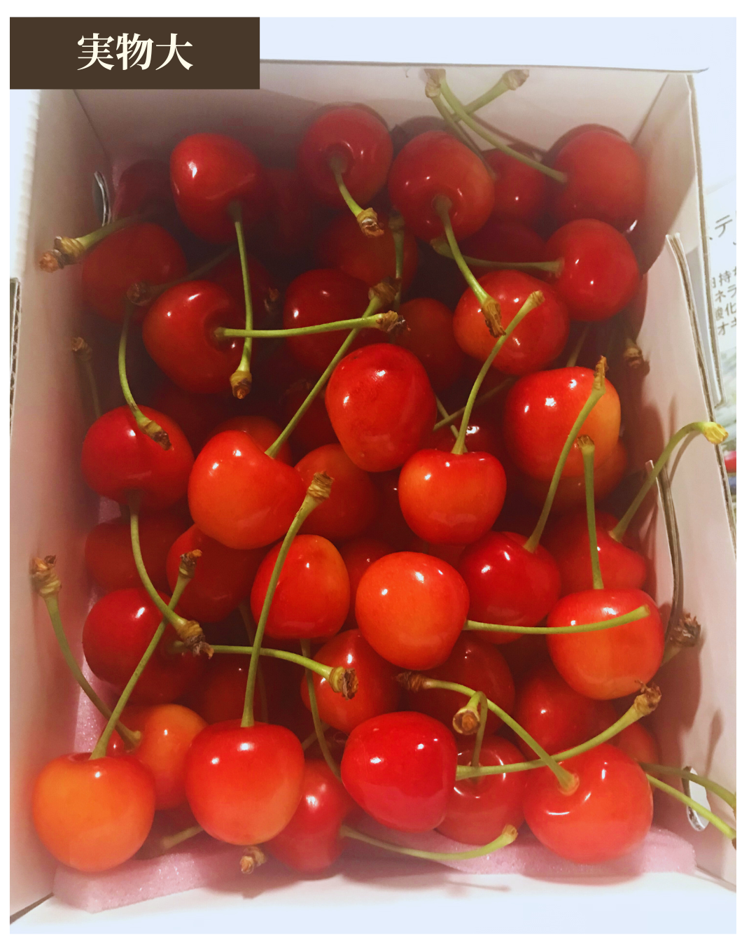 【予約注文】佐藤錦  500g ＜L~2Lサイズ＞ (税込価格)